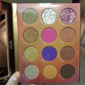 🆕️Pür Festival Palette